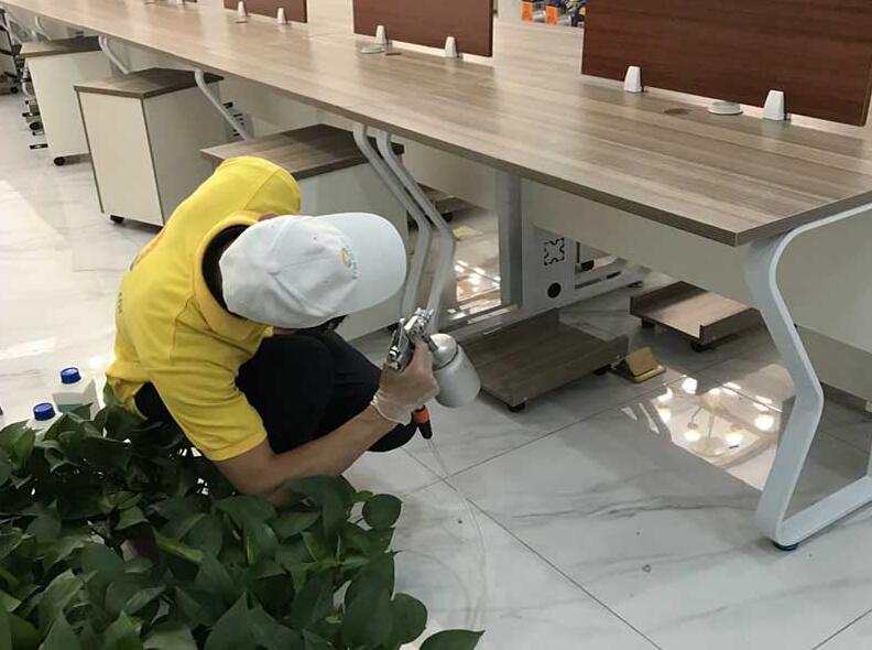 ���ȩһ��������������տ�����̩��CMA��ⱨ��